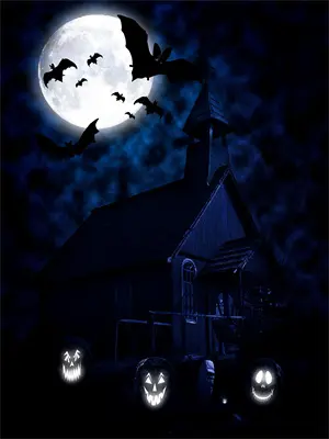 绯色征途免费阅读